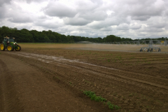 11_Irrigation_carrots