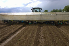 14_handweeding
