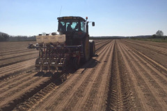 3_Carrot_drilling