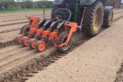 4_Beetroot_drilling